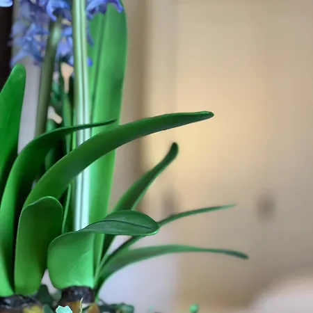 Weller Wenningstedt-Braderup