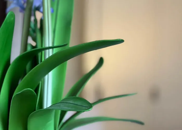 Weller Wenningstedt-Braderup